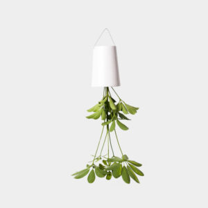 Sky Planter