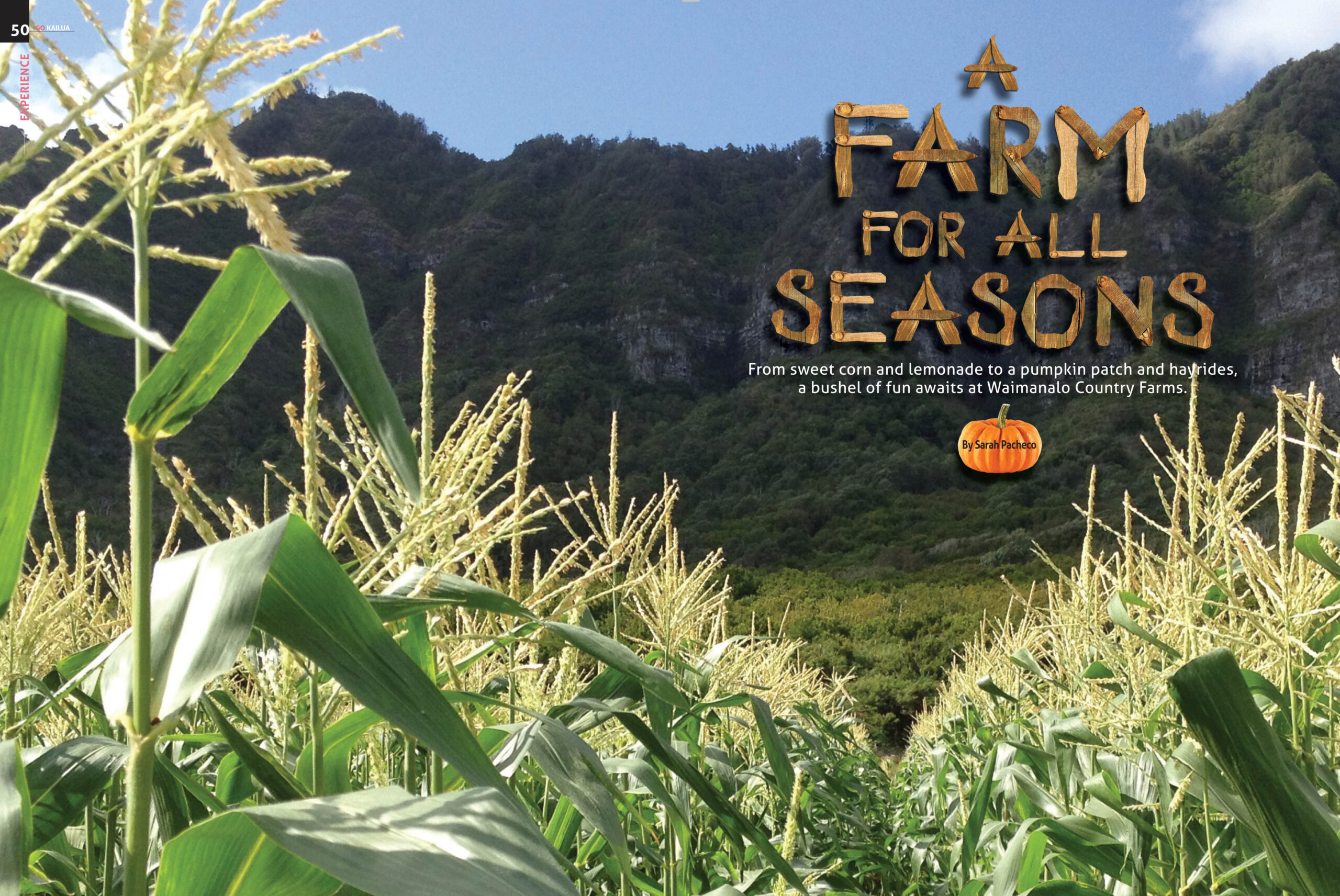 Farm-for-all-Seasons-scaled.jpg